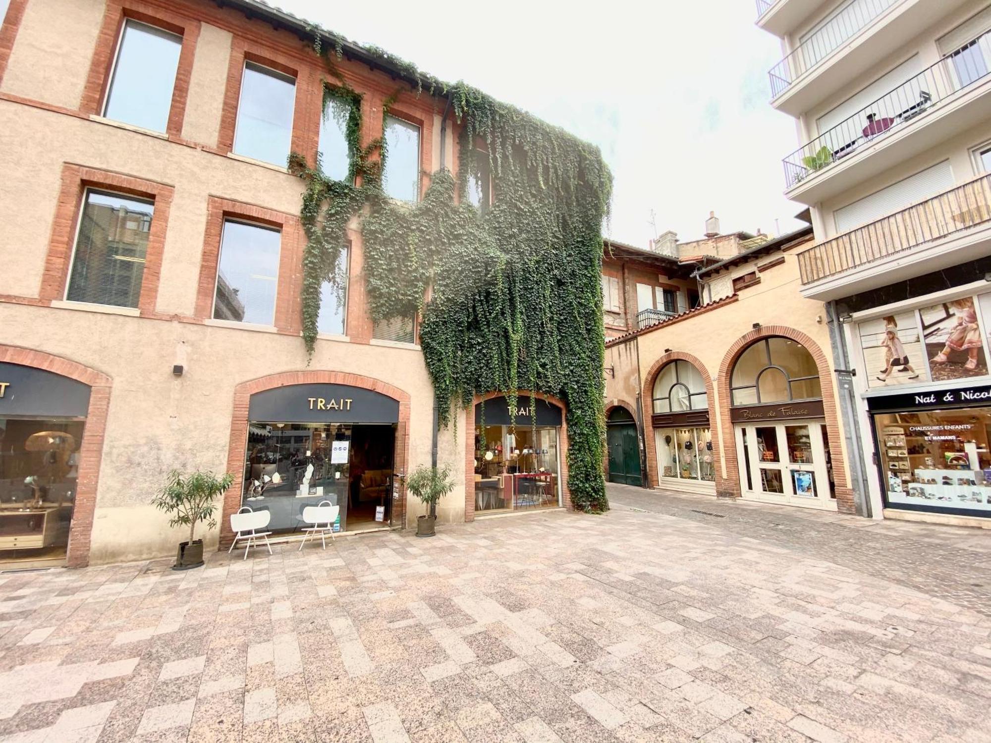 Le Perk - Centre Historique Toulousain Apartment *