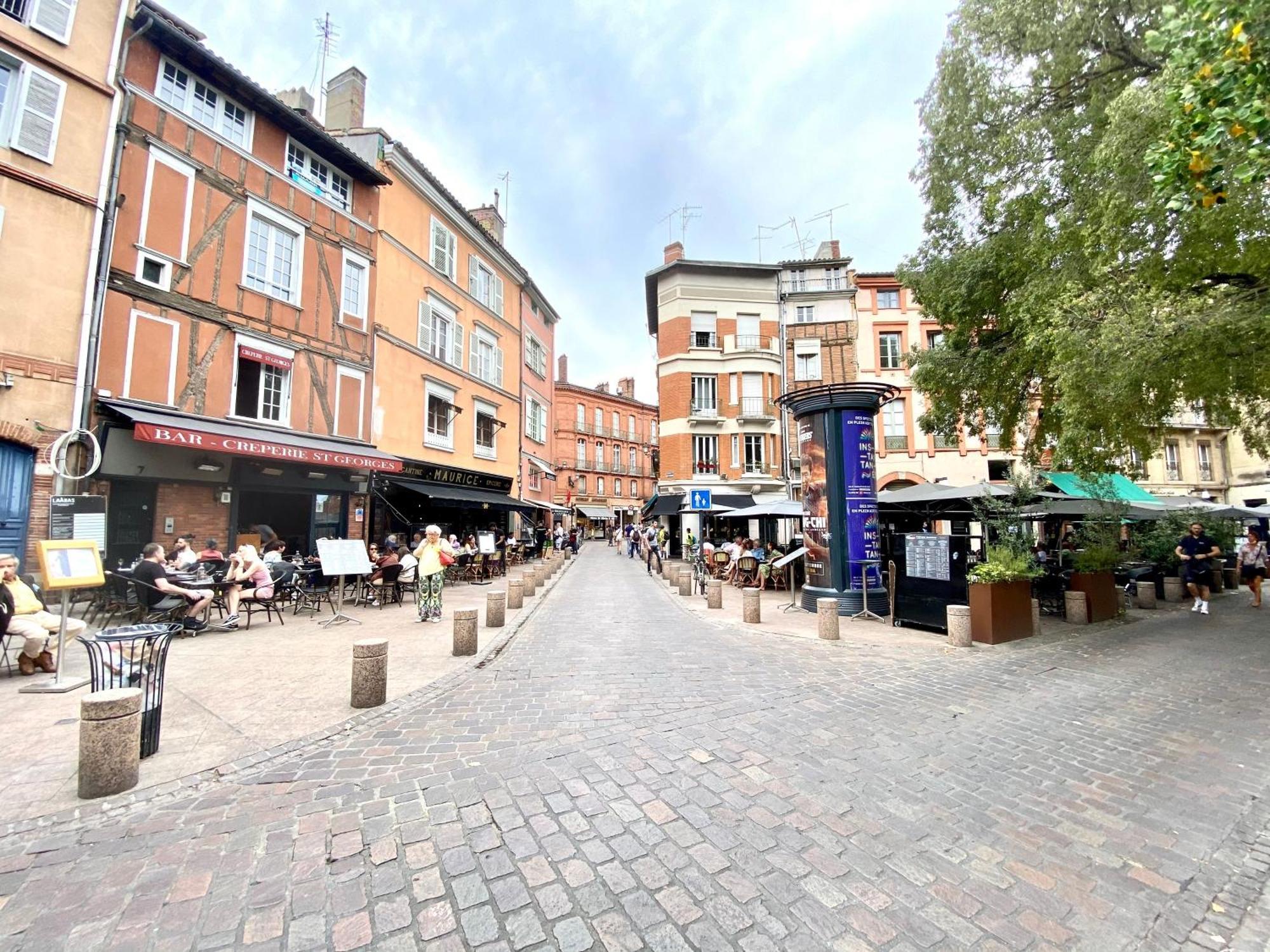 Le Perk - Centre Historique Toulousain Apartment